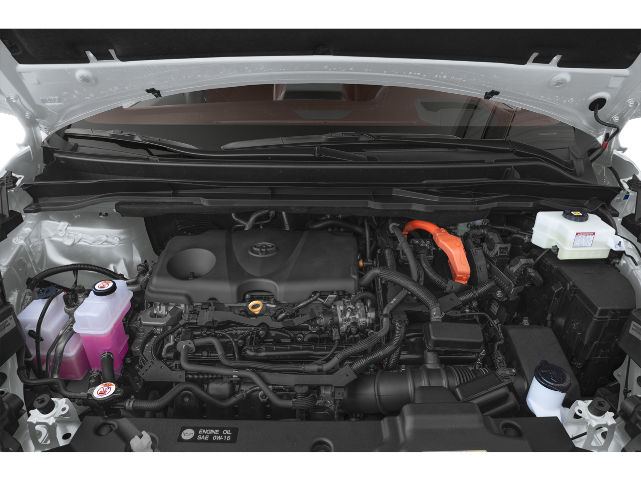 2025 Toyota Sienna Platinum - Photo 12