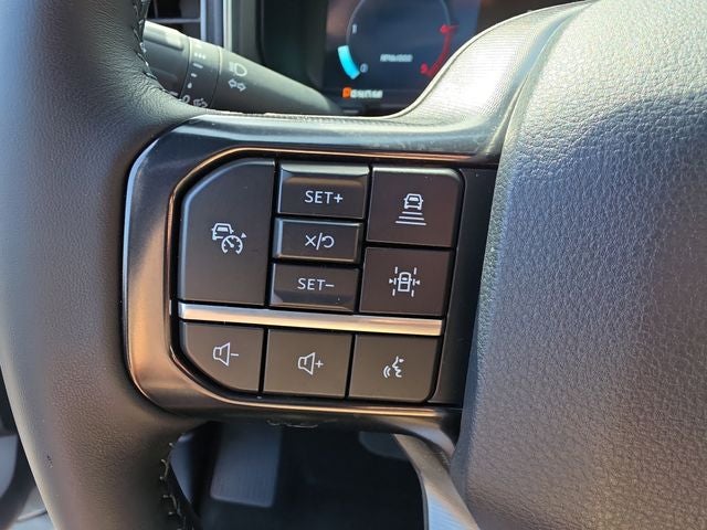 2025 Ford F-250SD Platinum