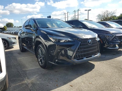 2025 Lexus NX 250 Premium